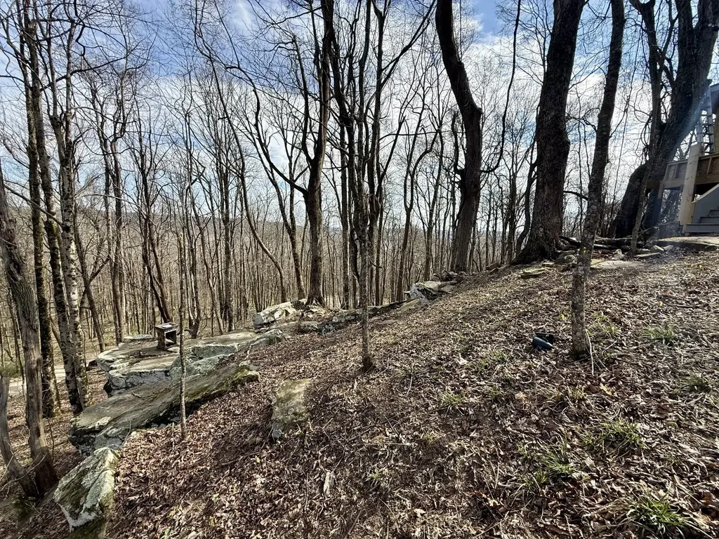 3174 Gap Road Altamont TN 37301