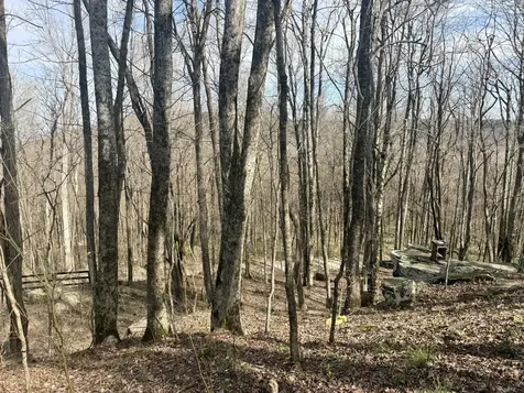 3174 Gap Road Altamont TN 37301