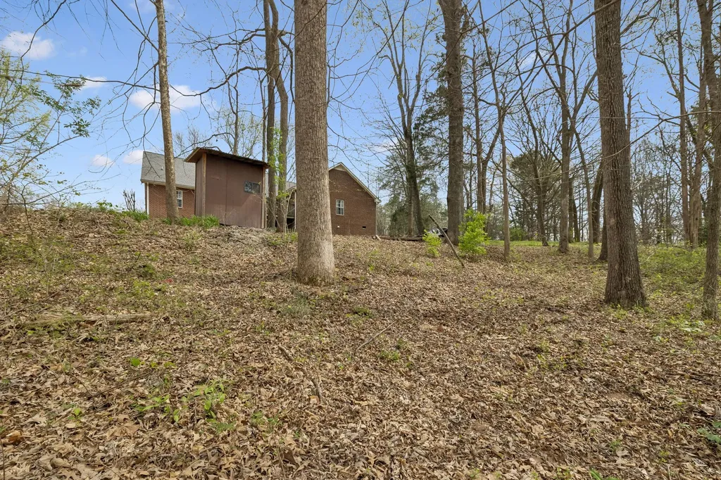 119 Christi Place Pleasant View TN 37146