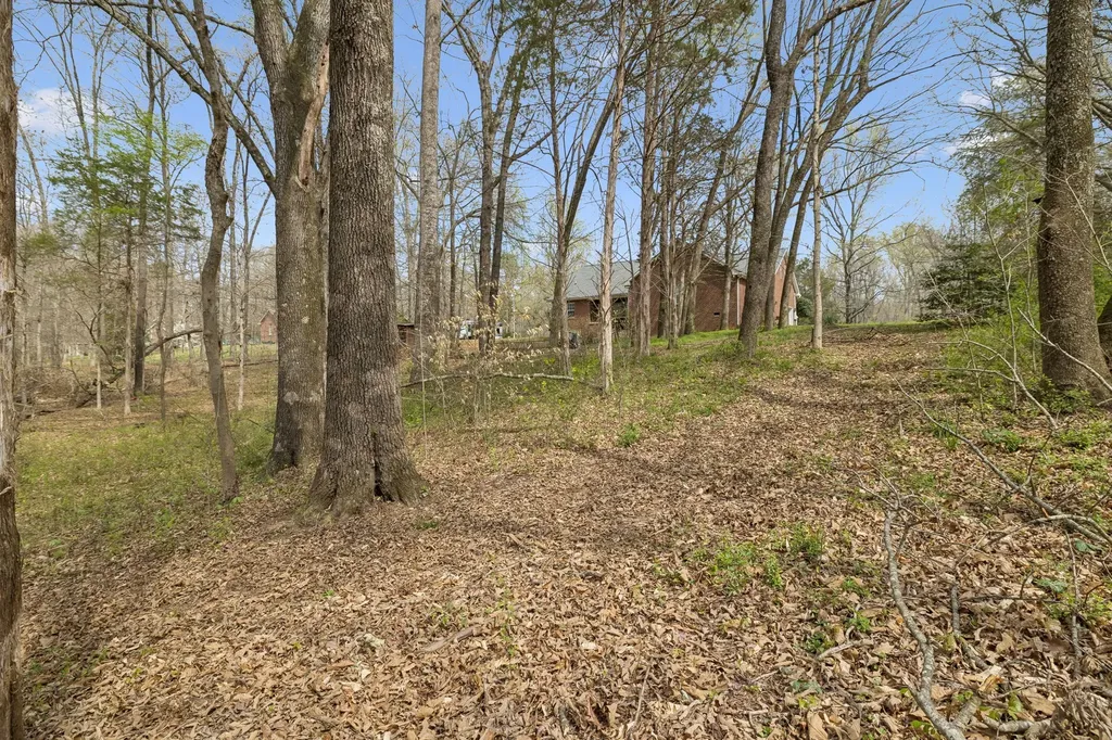 119 Christi Place Pleasant View TN 37146