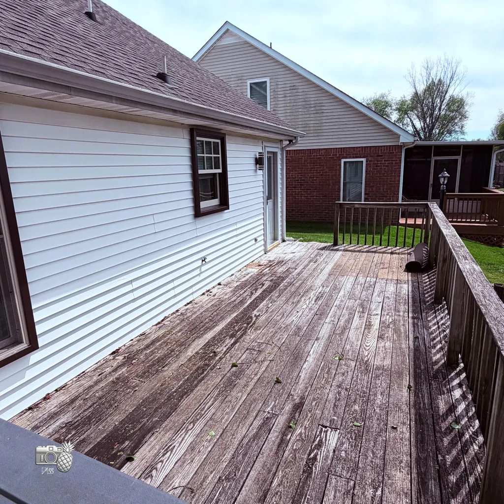 1428 Anita Court Murfreesboro TN 37130