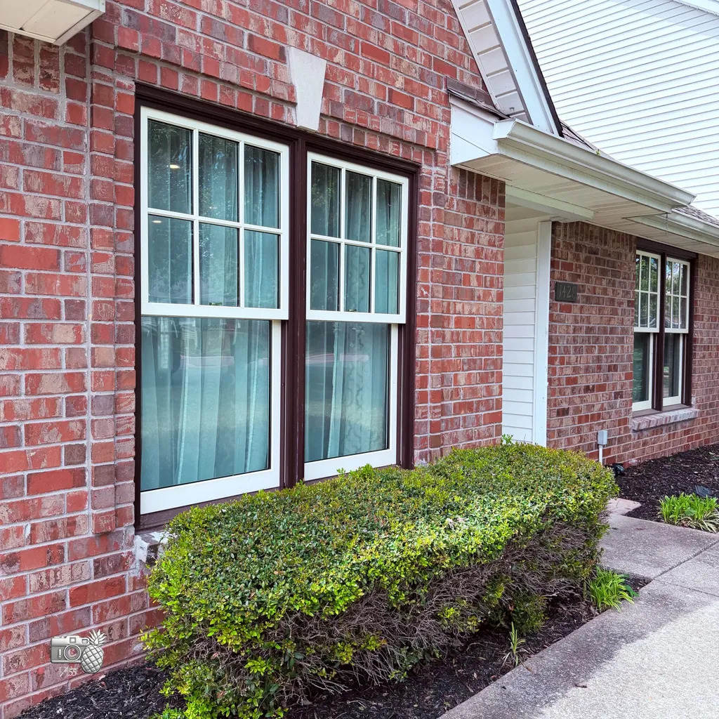 1428 Anita Court Murfreesboro TN 37130