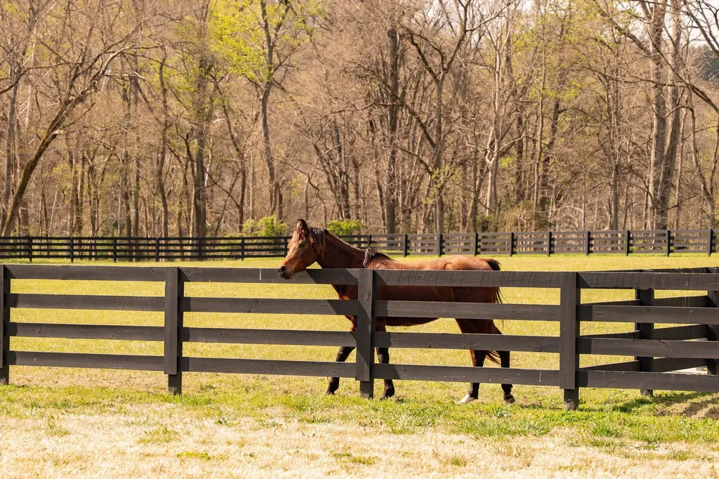 5620 Big East Fork Road Franklin TN 37064