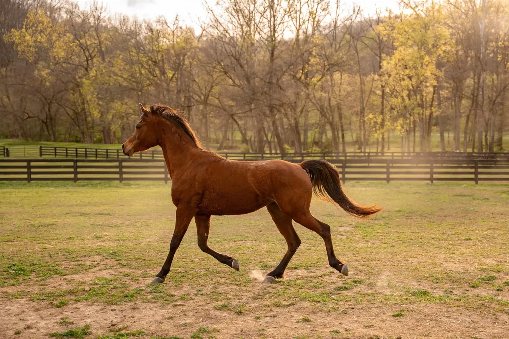5620 Big East Fork Road Franklin TN 37064