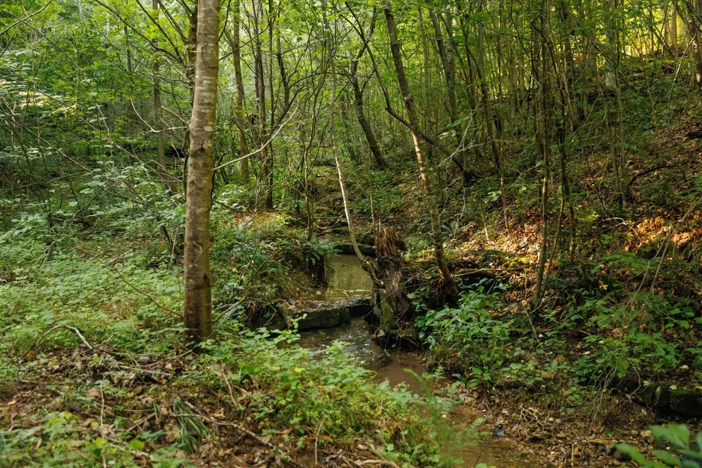 7365 Coldwater Road Fairview TN 37062
