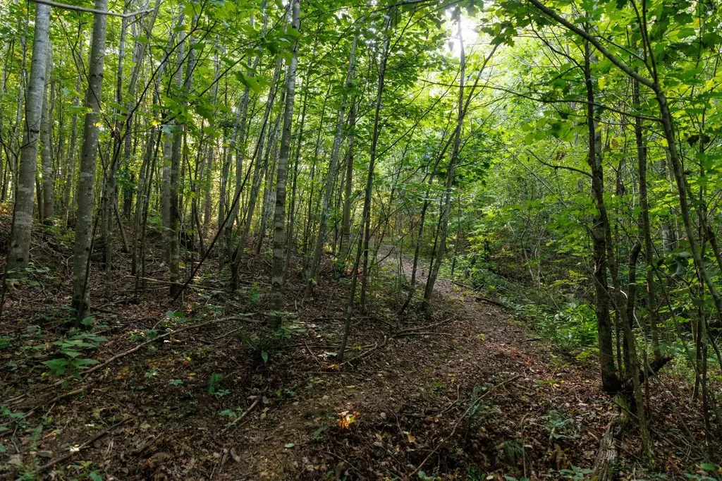 7365 Coldwater Road Fairview TN 37062