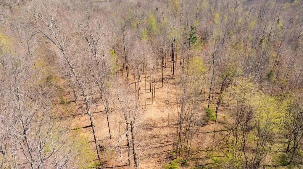 7365 Coldwater Road Fairview TN 37062