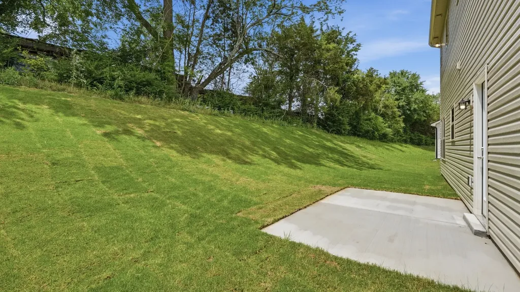 236 Republic Street Shelbyville TN 37160