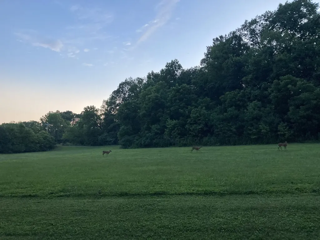 507 Stinson Court White House TN 37188