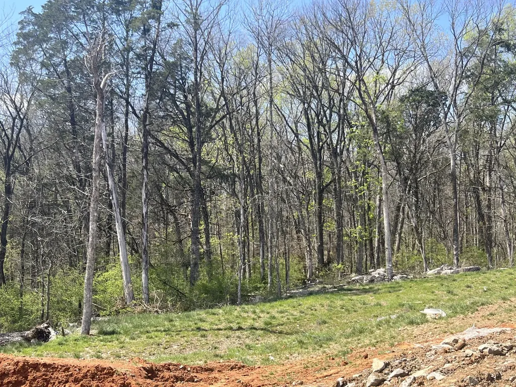 638 Spring Hill Drive Lot 9, E Smyrna TN 37167