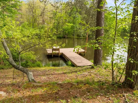 374 Eagle Lake Road Coalmont TN 37313
