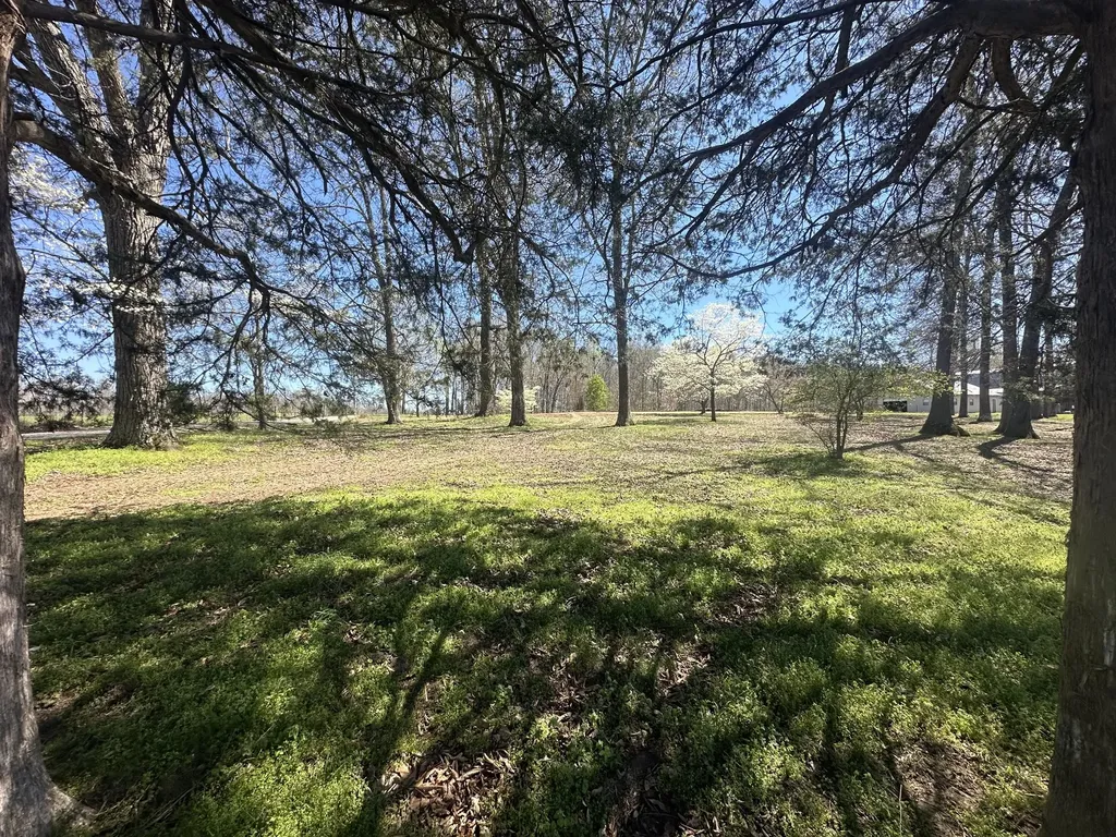 5149 Arnold Thomas Road Silver Point TN 38582