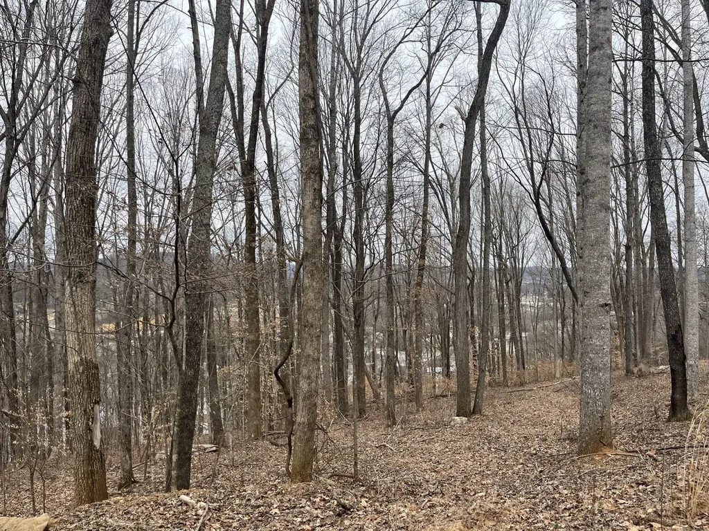 147 Chestnut Hill Livingston TN 38570