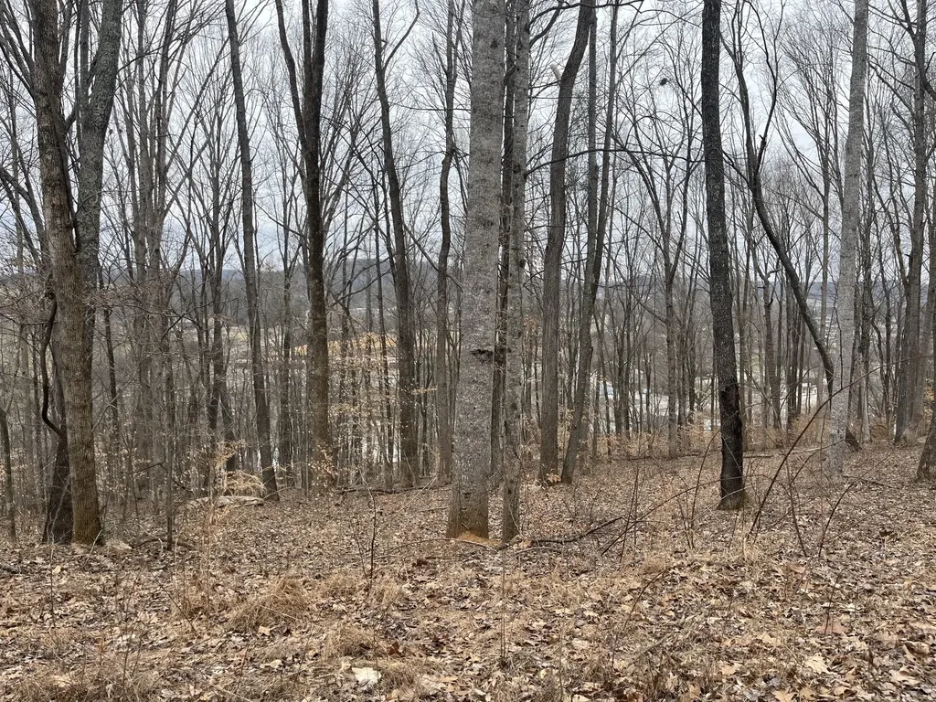 147 Chestnut Hill Livingston TN 38570