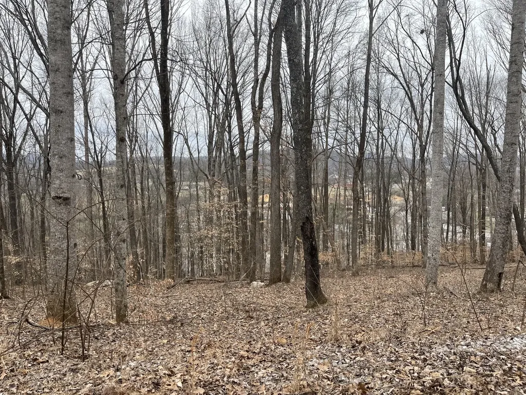 147 Chestnut Hill Livingston TN 38570