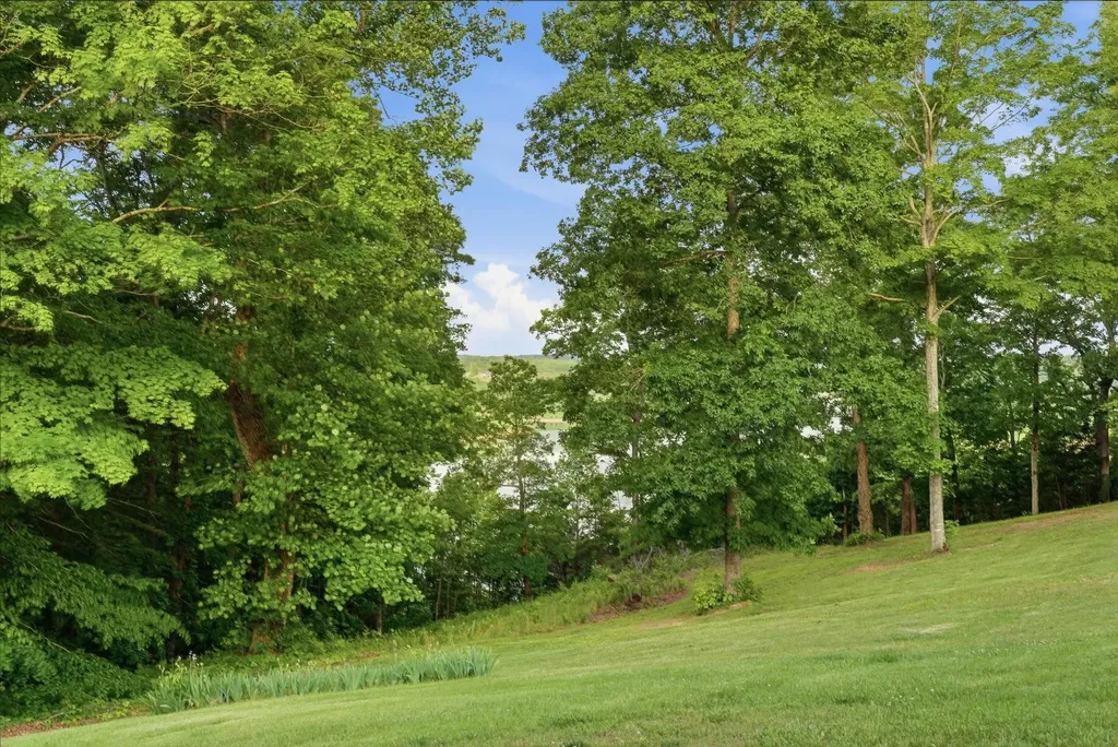 99 Hilltop Lane Byrdstown TN 38549