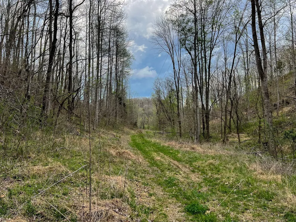 1755 Williams Road Centerville TN 37033