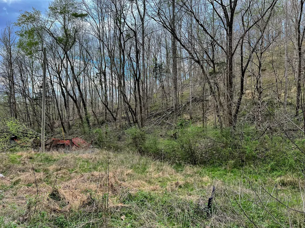 1755 Williams Road Centerville TN 37033