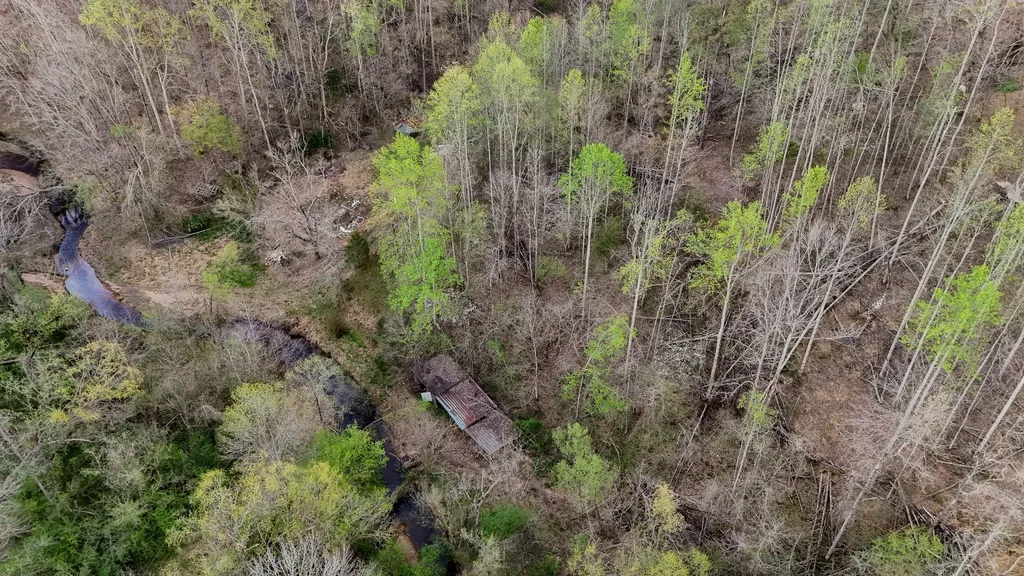 1755 Williams Road Centerville TN 37033