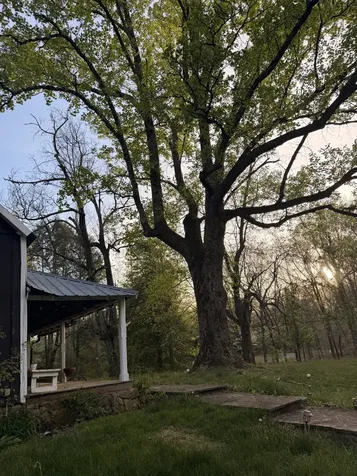767 Sherwood Road Sewanee TN 37375