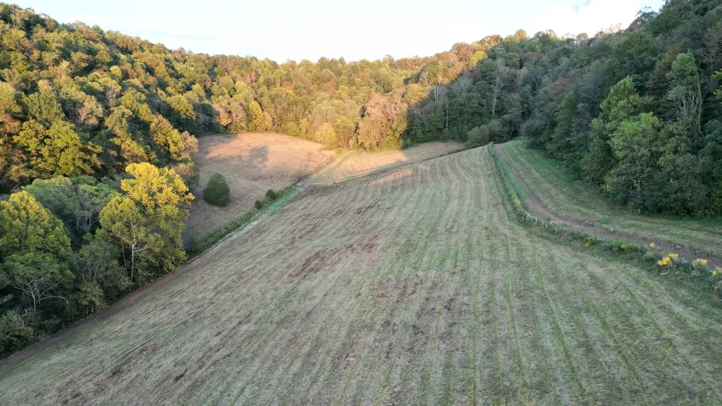 46 Carver Hollow Lane Pleasant Shade TN 37145