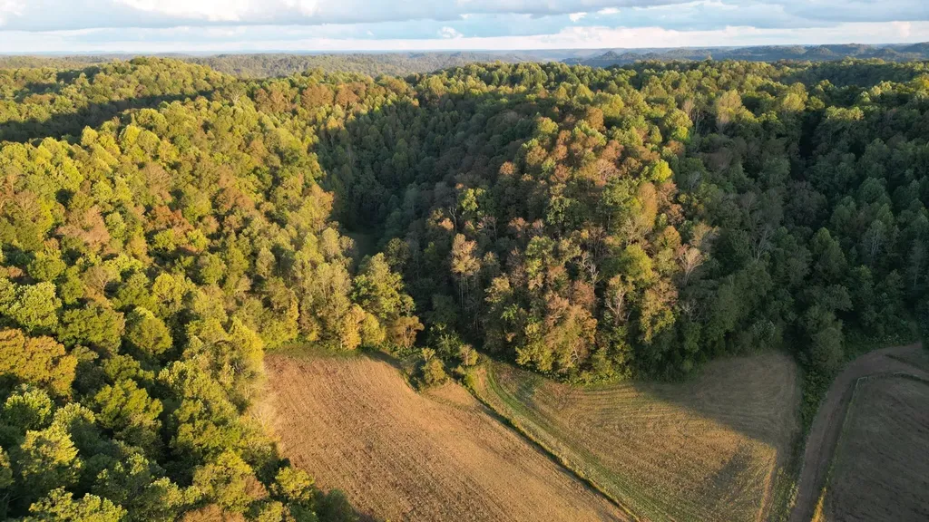 46 Carver Hollow Lane Pleasant Shade TN 37145