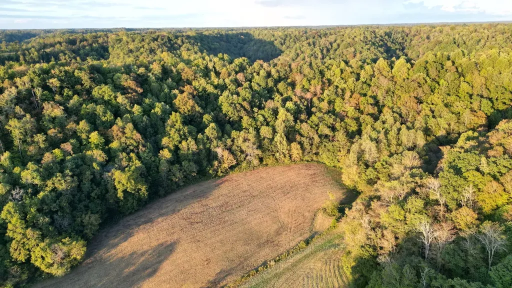 46 Carver Hollow Lane Pleasant Shade TN 37145