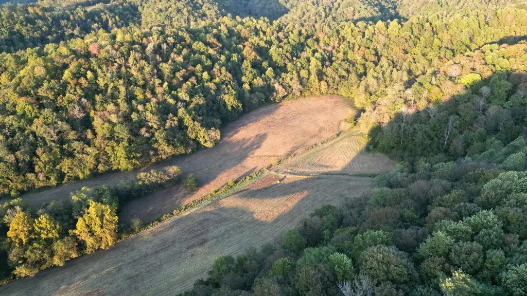 46 Carver Hollow Lane Pleasant Shade TN 37145
