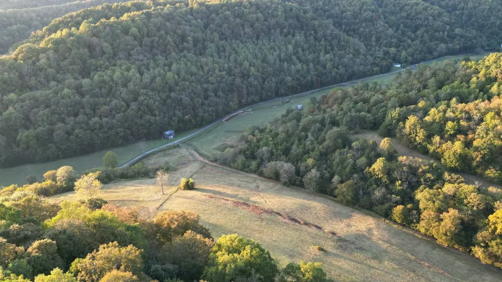 46 Carver Hollow Lane Pleasant Shade TN 37145