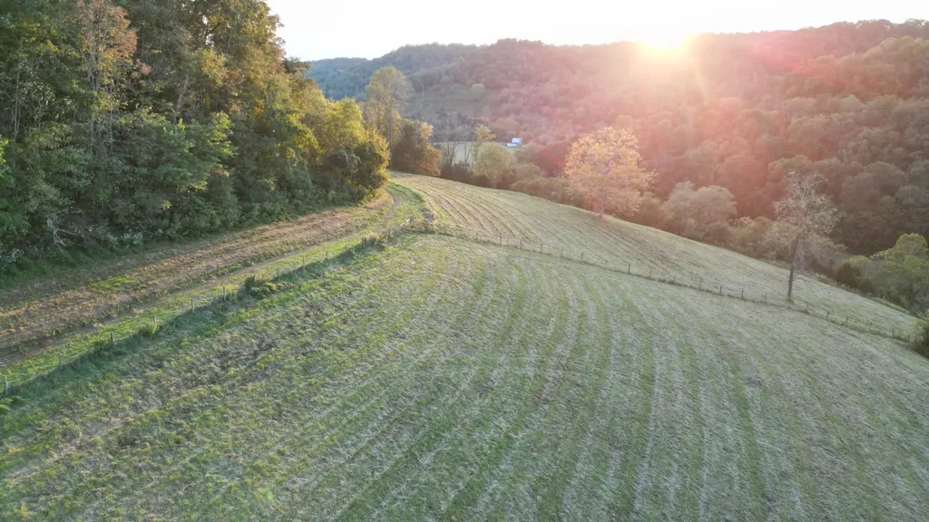 46 Carver Hollow Lane Pleasant Shade TN 37145
