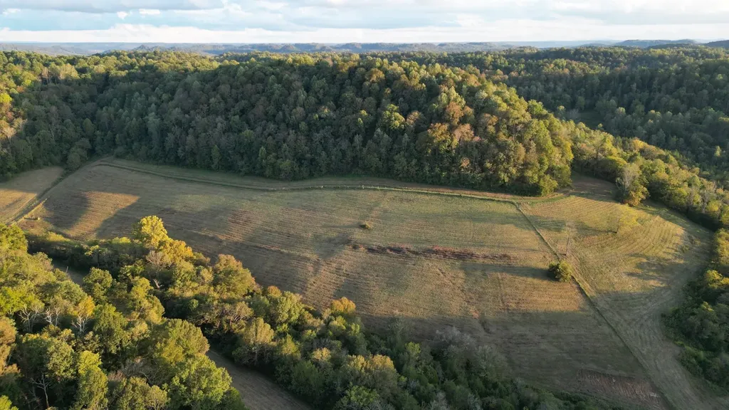 46 Carver Hollow Lane Pleasant Shade TN 37145