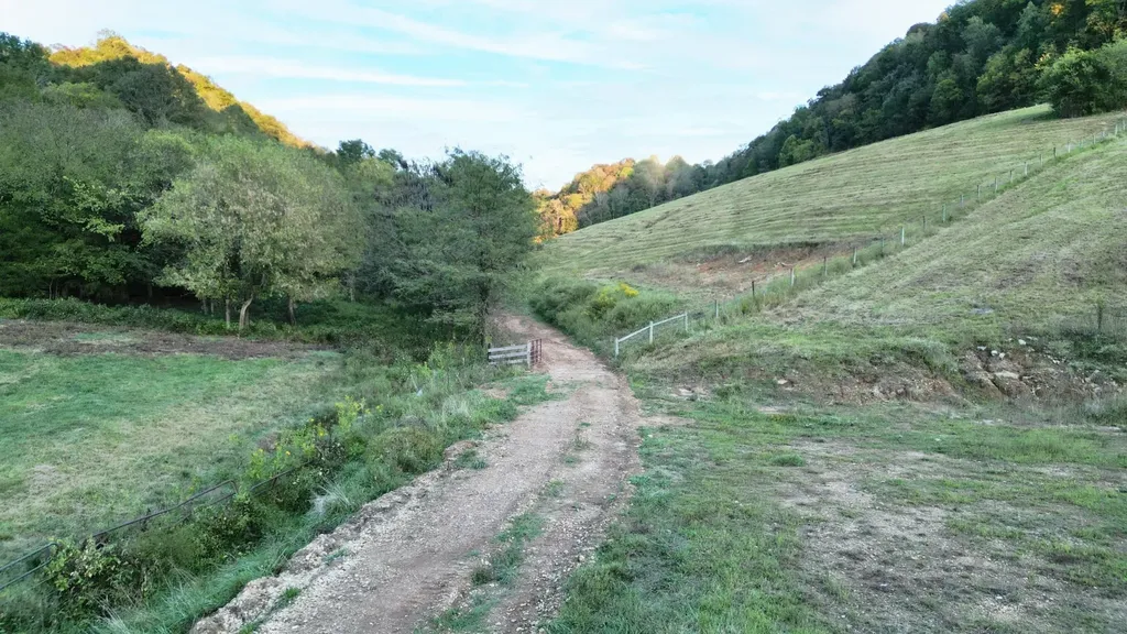 46 Carver Hollow Lane Pleasant Shade TN 37145