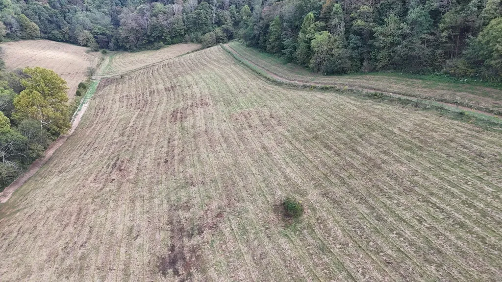 46 Carver Hollow Lane Pleasant Shade TN 37145