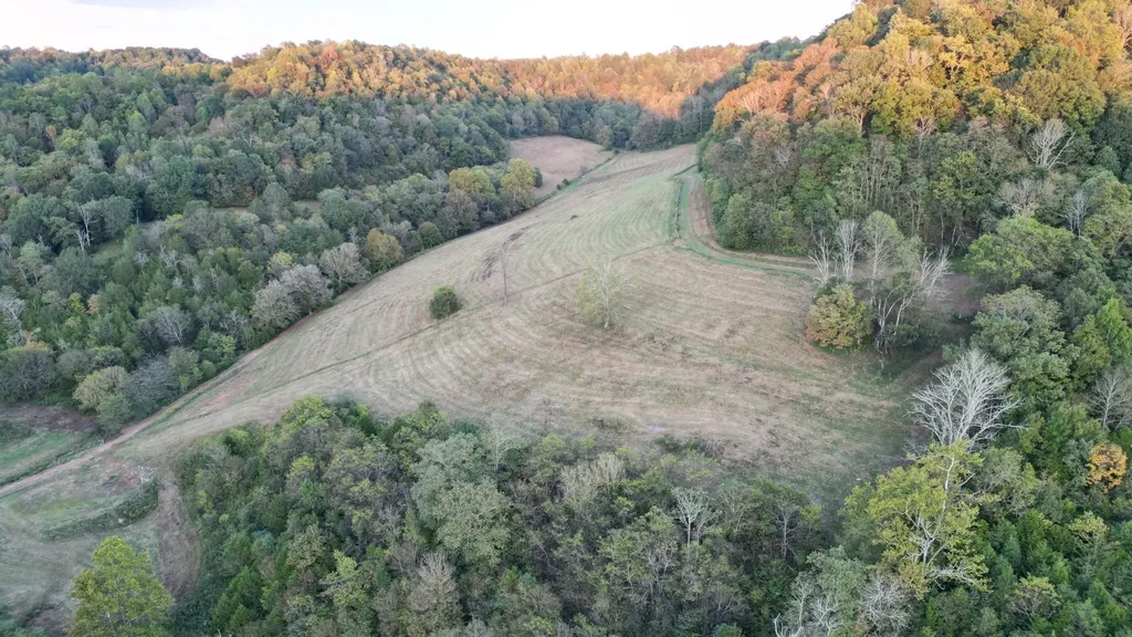 46 Carver Hollow Lane Pleasant Shade TN 37145