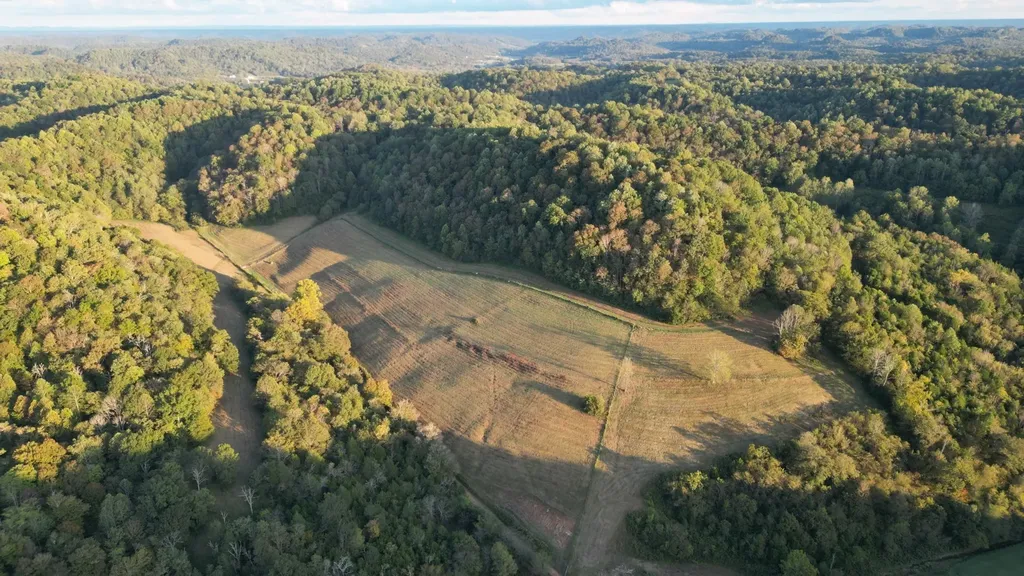 46 Carver Hollow Lane Pleasant Shade TN 37145