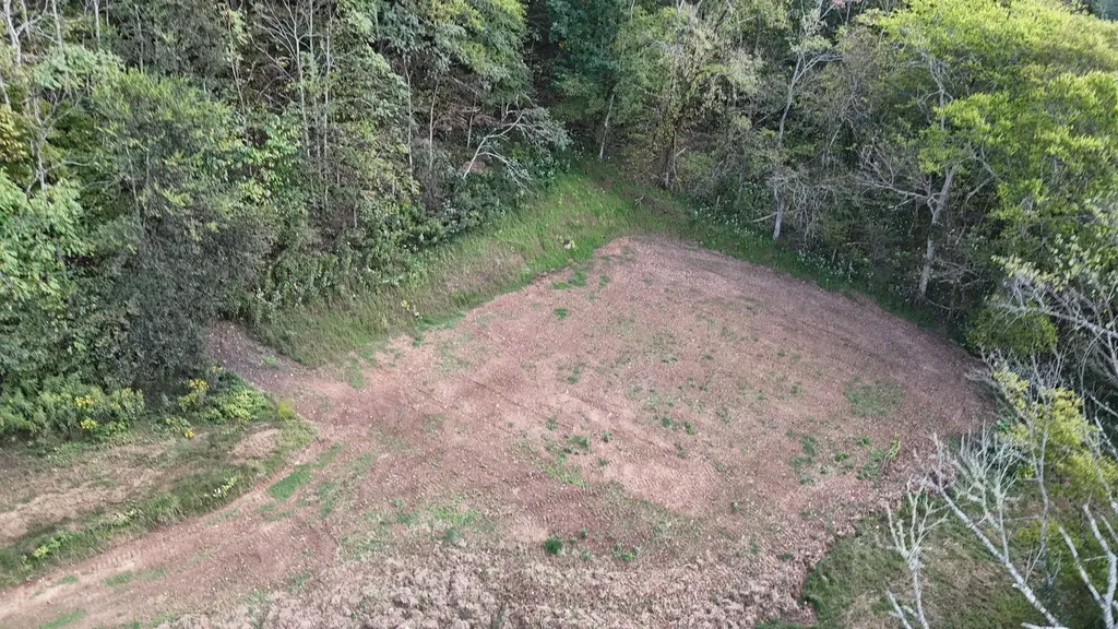 46 Carver Hollow Lane Pleasant Shade TN 37145