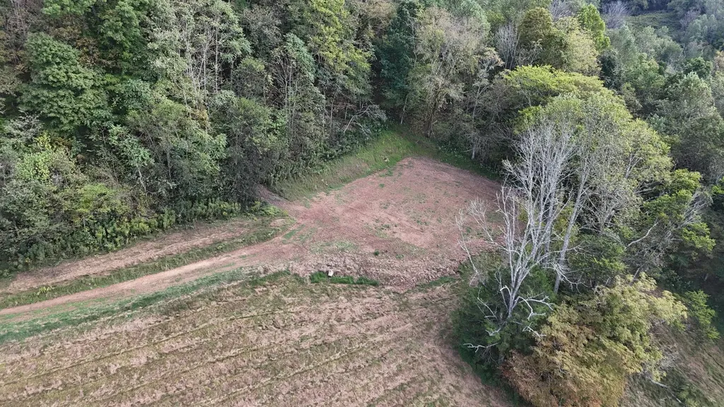 46 Carver Hollow Lane Pleasant Shade TN 37145