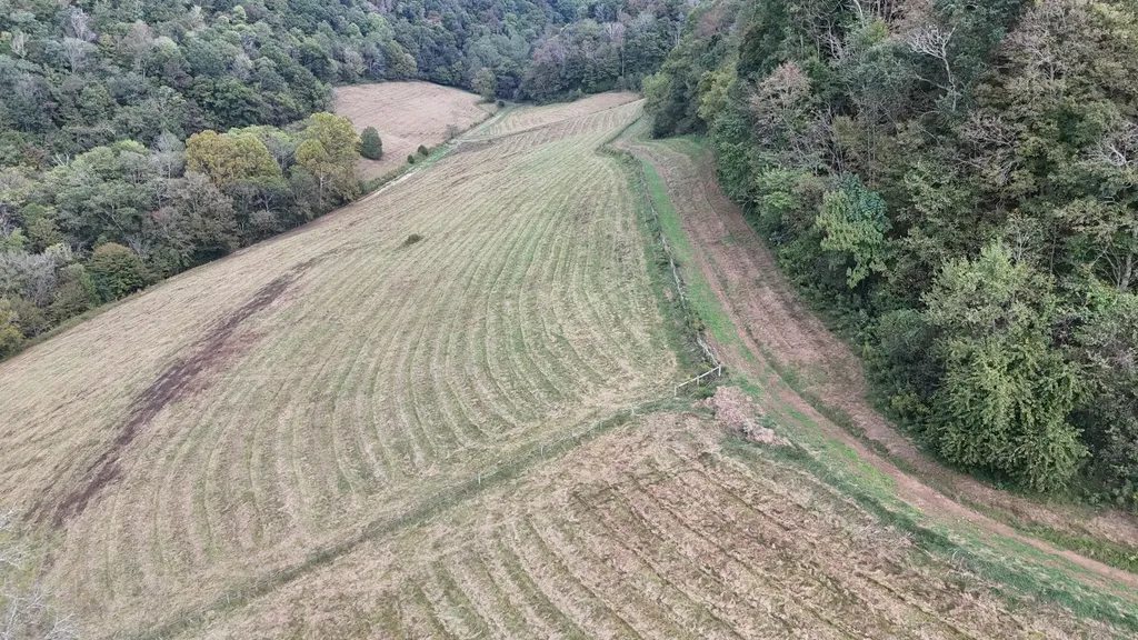 46 Carver Hollow Lane Pleasant Shade TN 37145