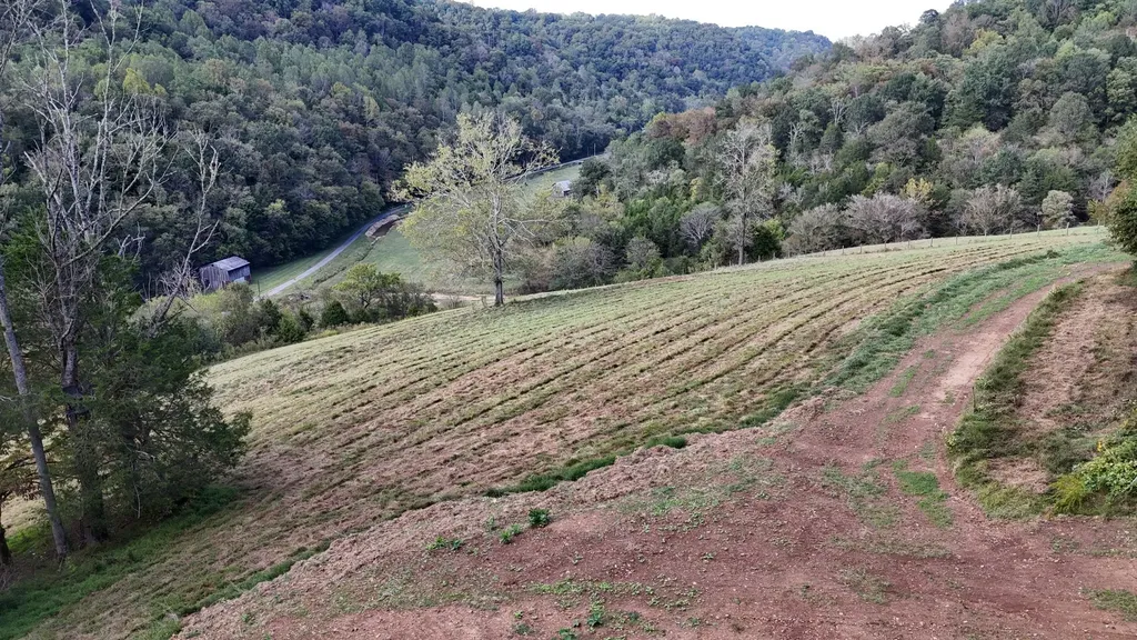 46 Carver Hollow Lane Pleasant Shade TN 37145