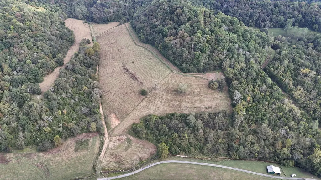 46 Carver Hollow Lane Pleasant Shade TN 37145