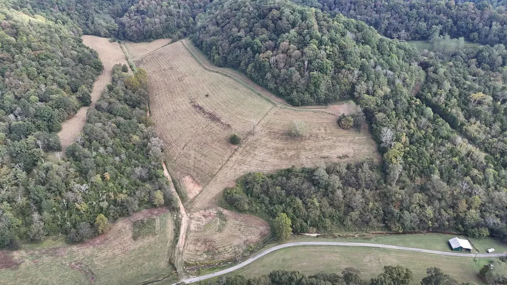 46 Carver Hollow Lane Pleasant Shade TN 37145
