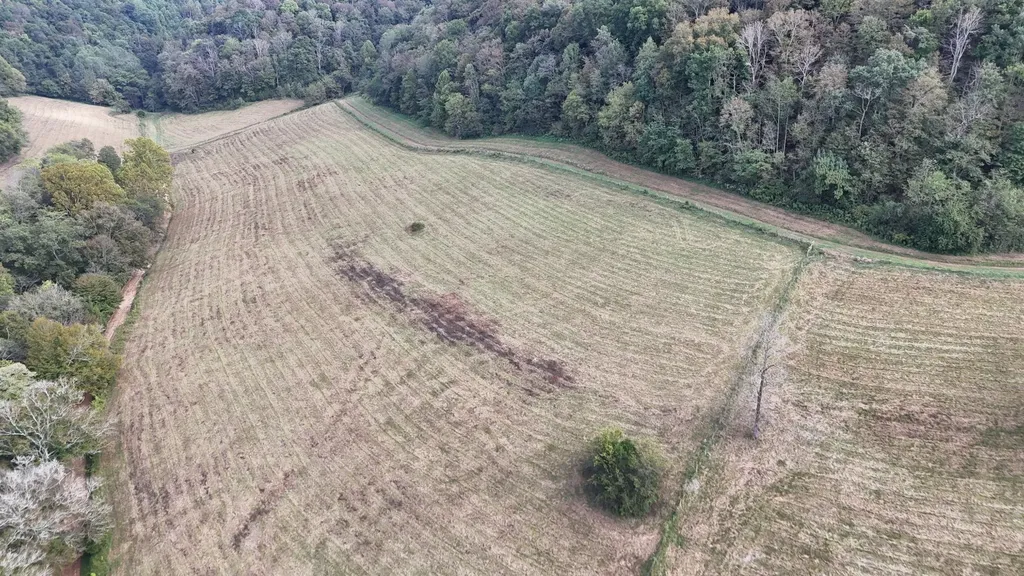 46 Carver Hollow Lane Pleasant Shade TN 37145