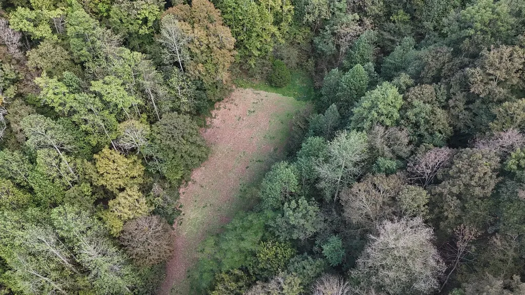 46 Carver Hollow Lane Pleasant Shade TN 37145