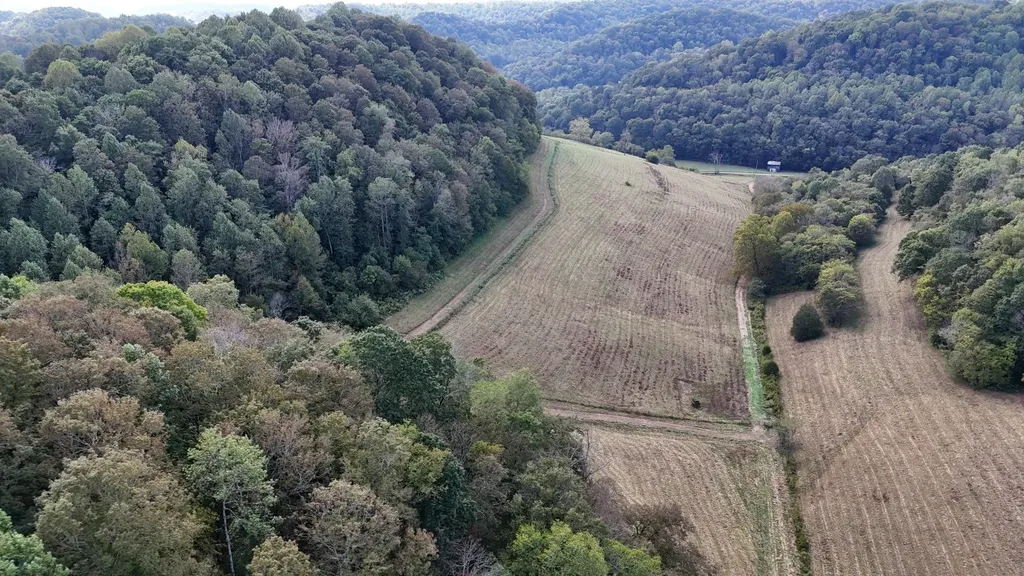 46 Carver Hollow Lane Pleasant Shade TN 37145