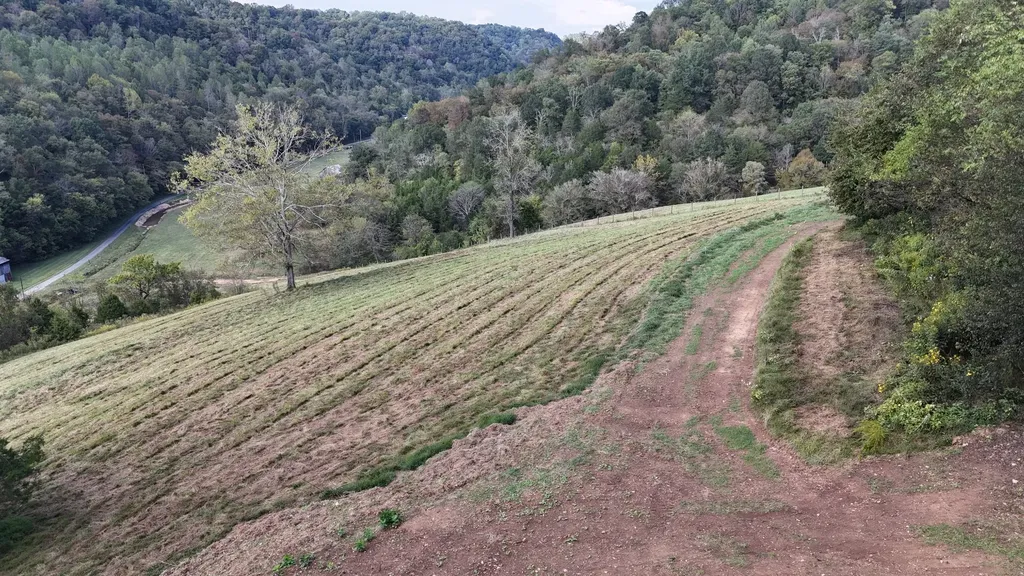 46 Carver Hollow Lane Pleasant Shade TN 37145