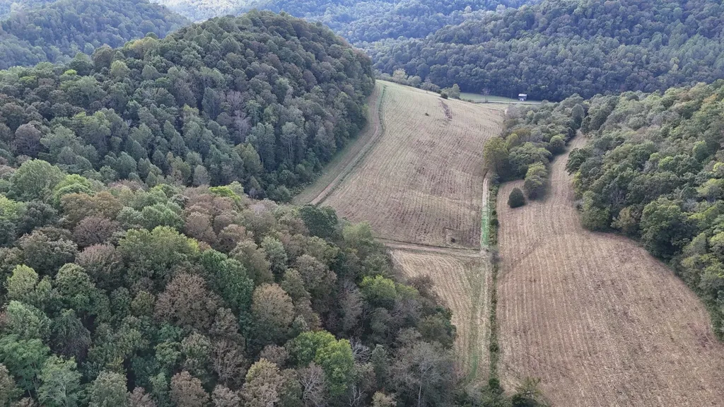 46 Carver Hollow Lane Pleasant Shade TN 37145