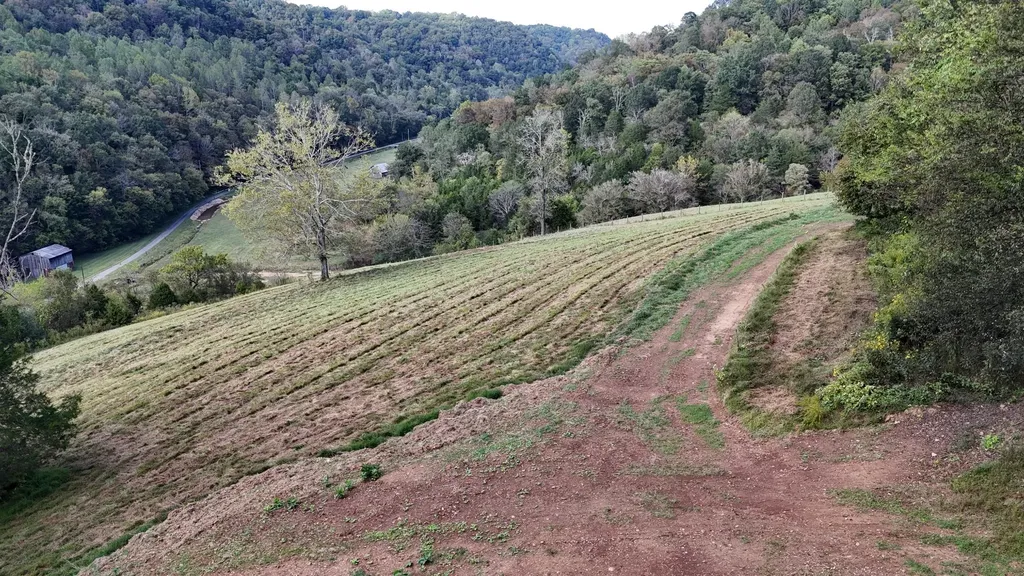 46 Carver Hollow Lane Pleasant Shade TN 37145