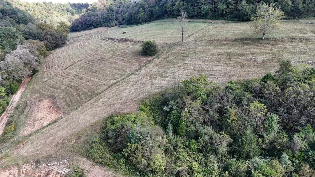 46 Carver Hollow Lane Pleasant Shade TN 37145