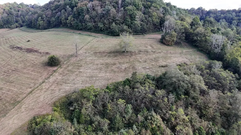 46 Carver Hollow Lane Pleasant Shade TN 37145