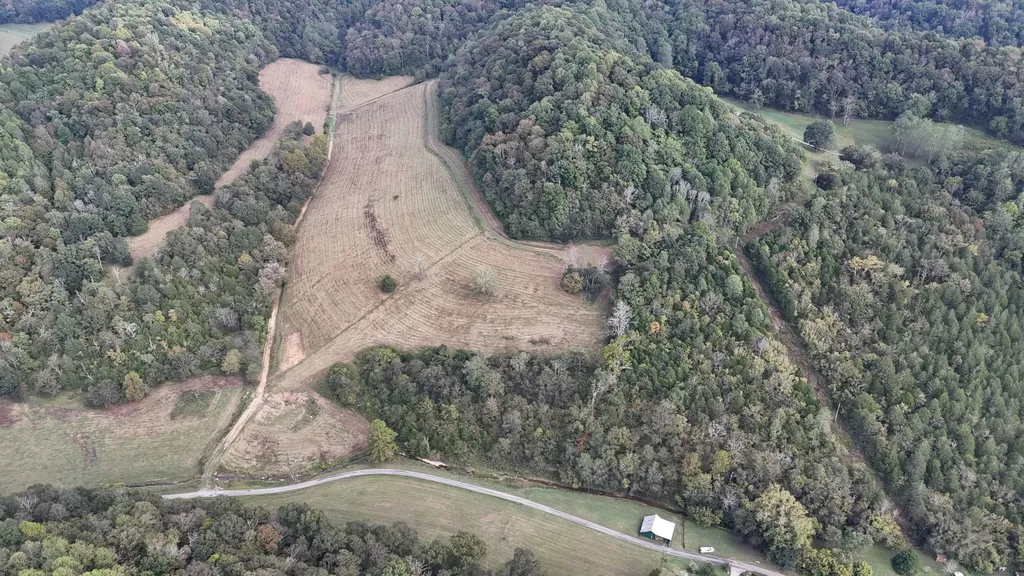 46 Carver Hollow Lane Pleasant Shade TN 37145